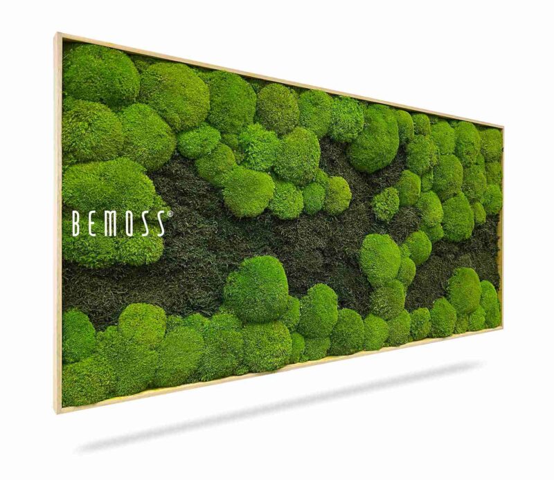 Tableau de mousse FLATMOSS&BOLMOSS DUO Light Green