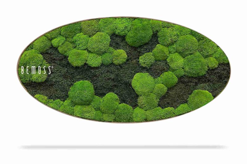 Tableau de mousse Ellipse FLATMOSS&BOLMOSS DUO Light Green