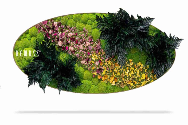 Tableau de mousse Ellipse PLANTES Cornella