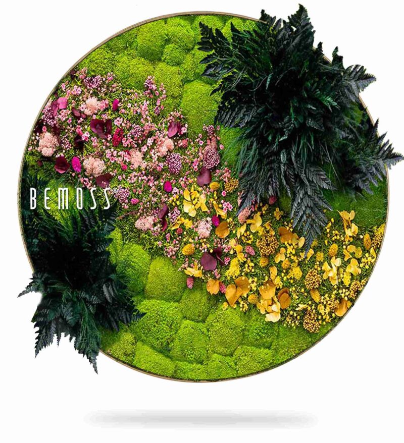 Tableau de mousse rond PLANTES Cornella