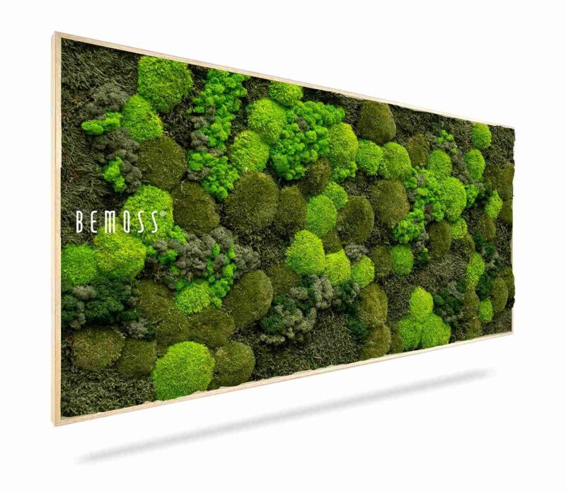 Tableau de mousse BEMOSS® ORTHO DOVEN
