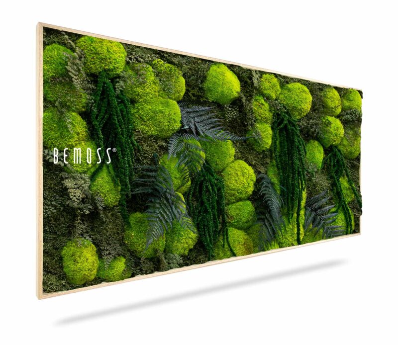 Tableau de mousse PLANTES Varex