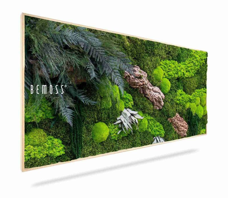 Tableau de mousse PLANTES Alona