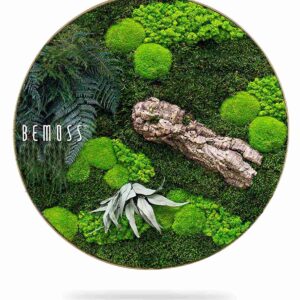 Tableau de mousse rond PLANTES Alona - Thumbnail Image 1