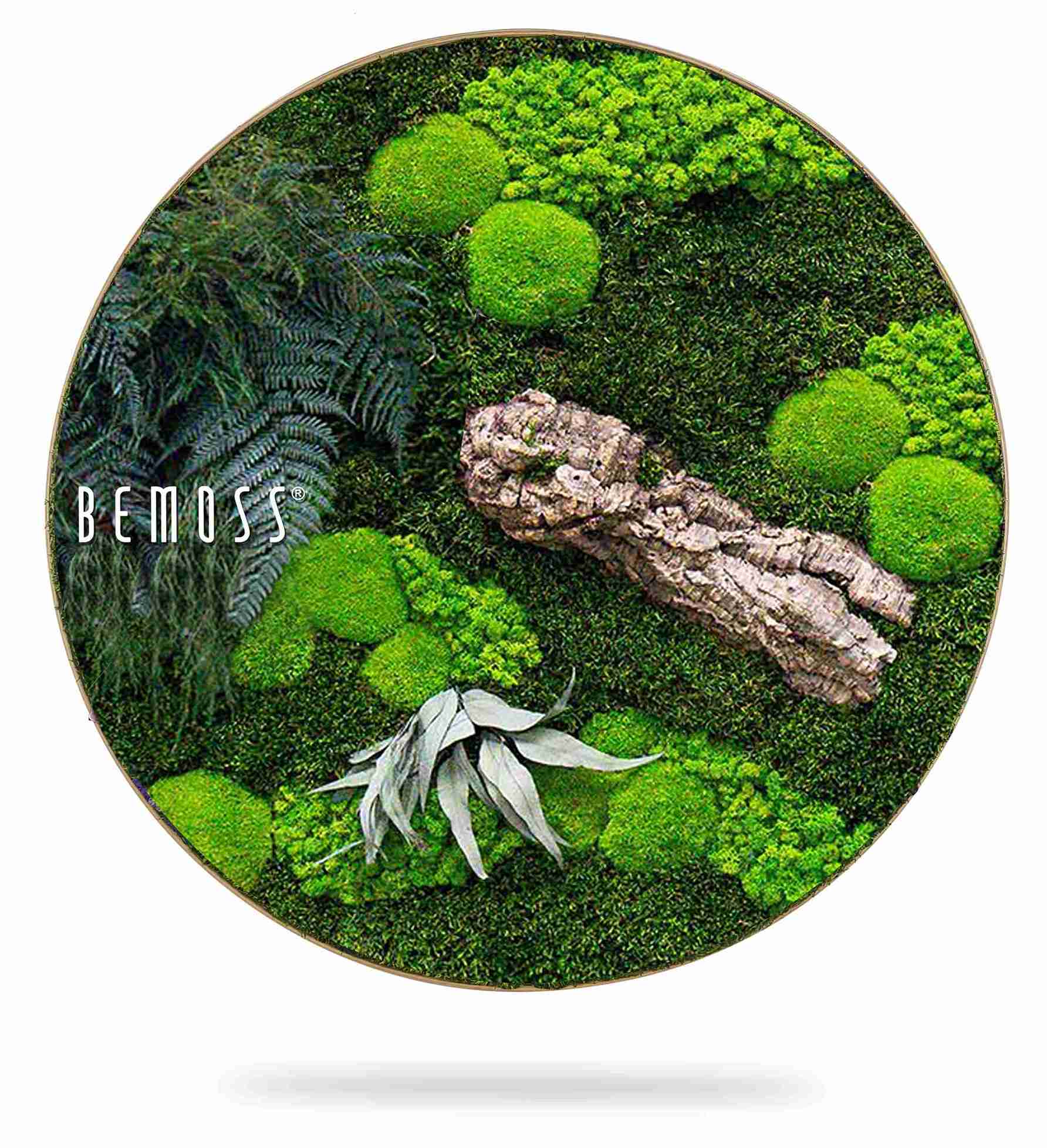 Tableau de mousse rond PLANTES Alona – Image 1
