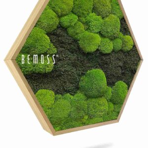 Hexagone de mousse FLATMOSS&BOLMOSS DUO Light Green - Thumbnail Image 1