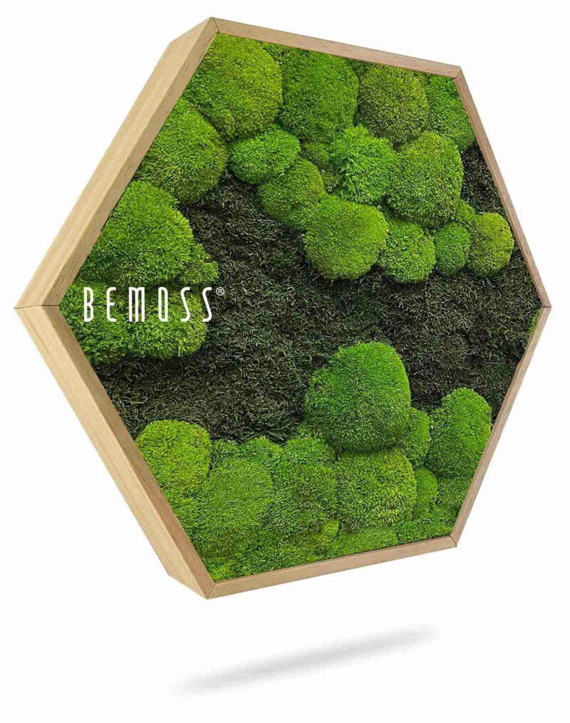 Hexagone de mousse FLATMOSS&BOLMOSS DUO Light Green