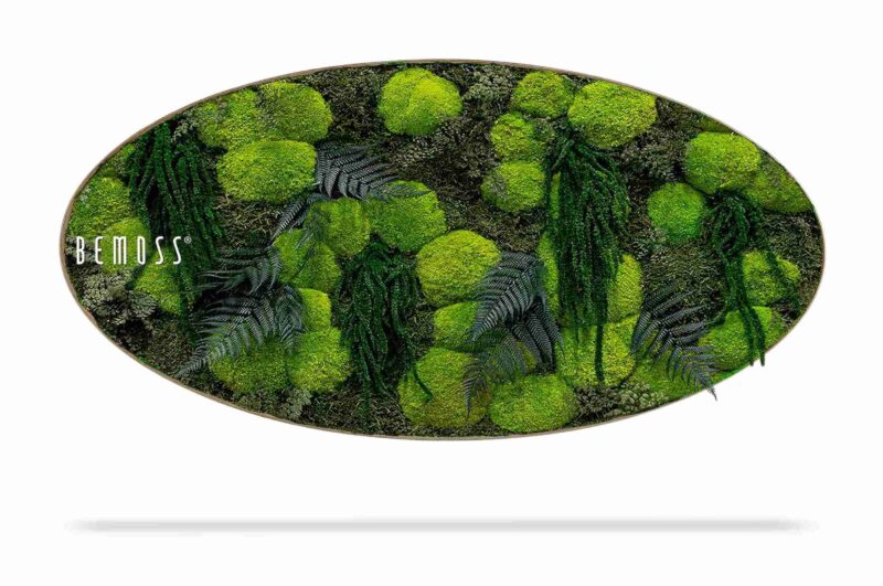 Tableau de mousse Ellipse PLANTES Varex
