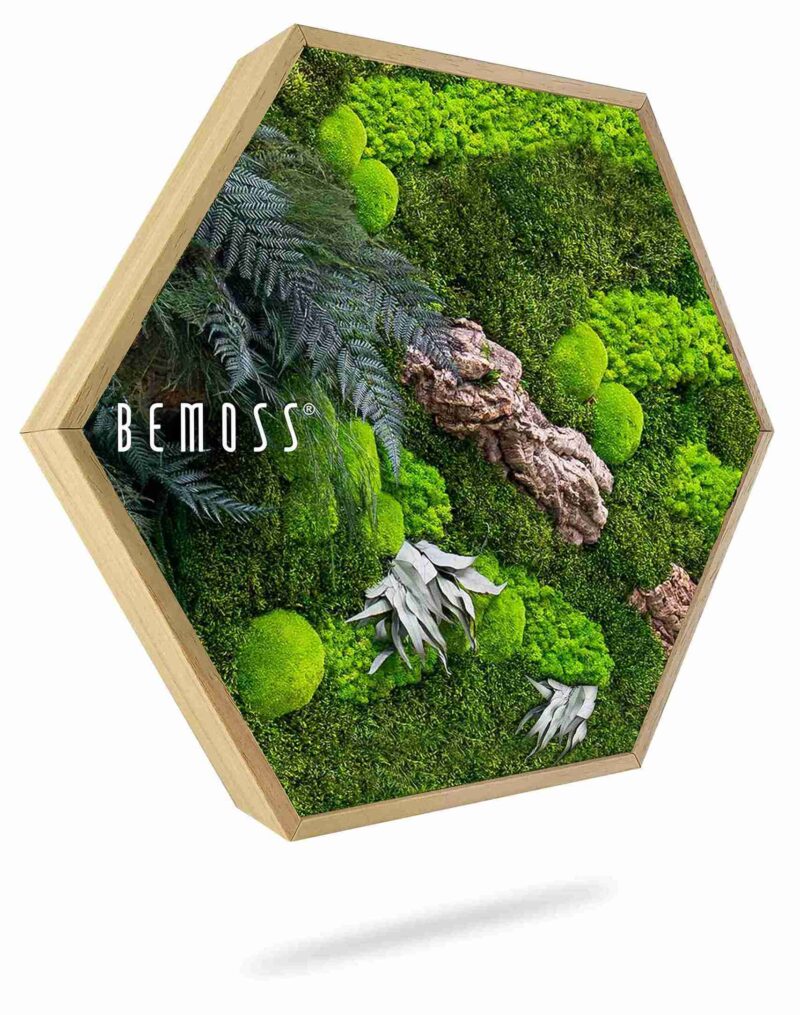 Hexagone de mousse PLANTES Alona