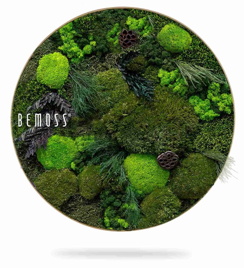Tableau de mousse rond PLANTES Amar