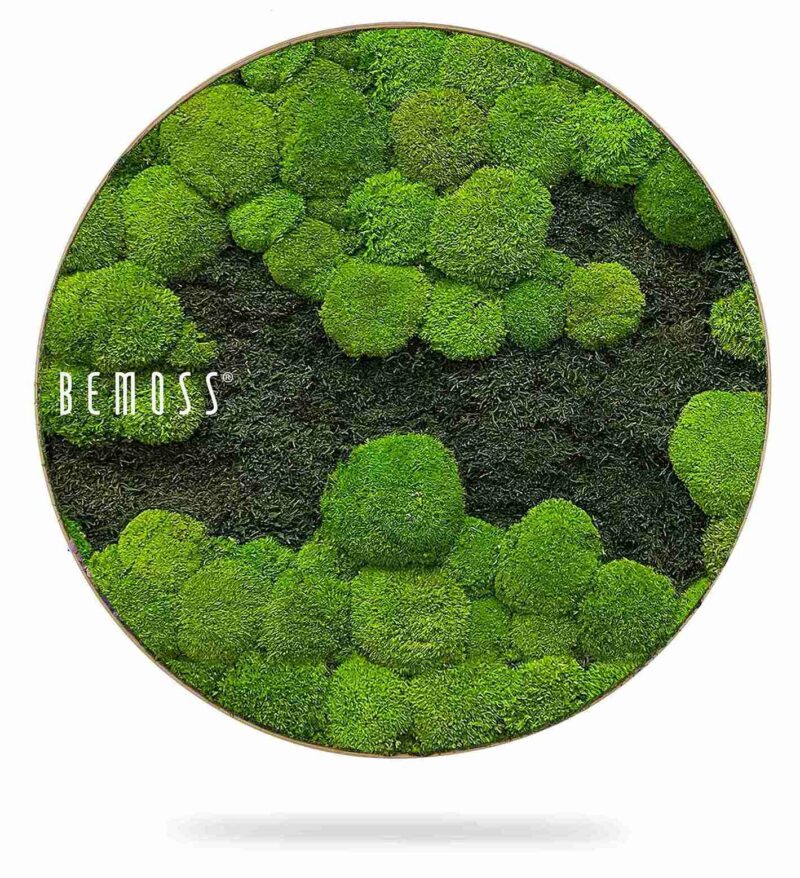 Tableau de mousse rond FLATMOSS&BOLMOSS DUO Light Green