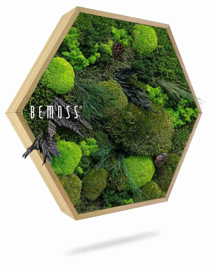 Hexagone de mousse PLANTES Amar