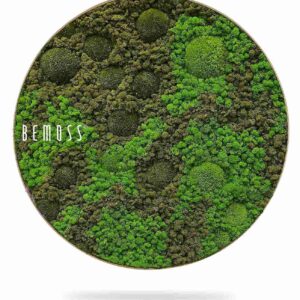 Tableau de mousse rond BEMOSS® ORTHO ASEL - Thumbnail Image 1