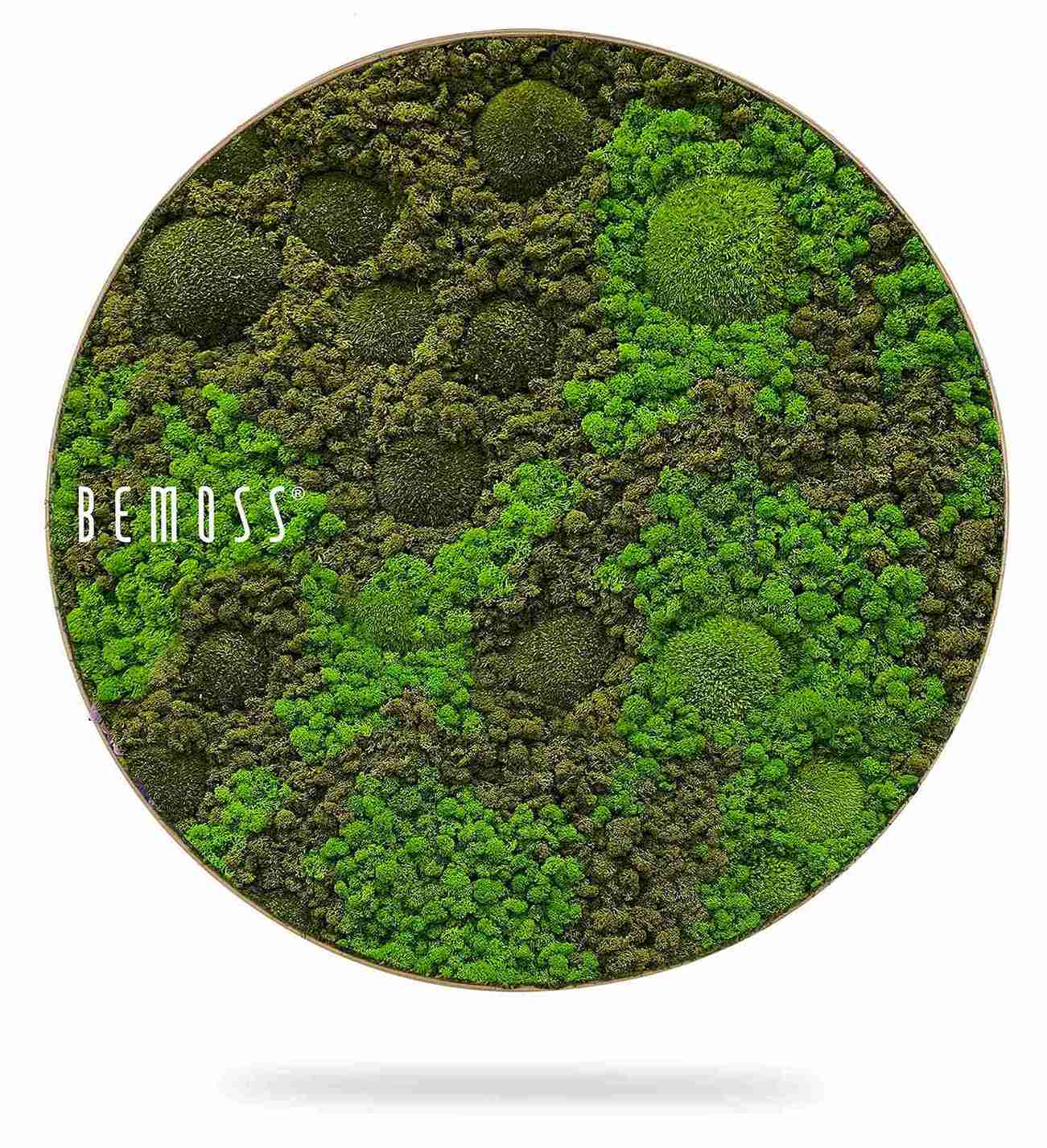 Tableau de mousse rond BEMOSS® ORTHO ASEL – Image 1