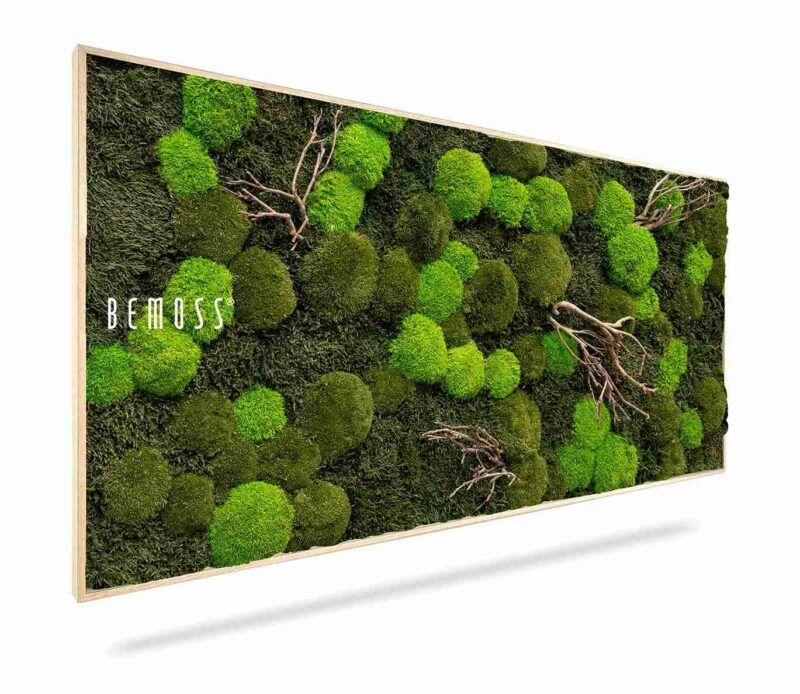 Tableau de mousse FLATMOSS & BOLMOSS Doven WOOD