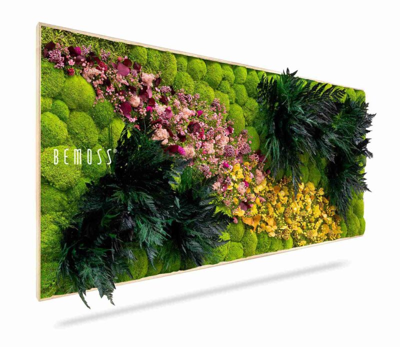 Tableau de mousse PLANTES Cornella