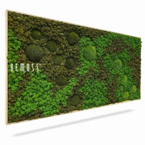 Tableau de mousse BEMOSS® ORTHO ASEL - Thumbnail Image 1