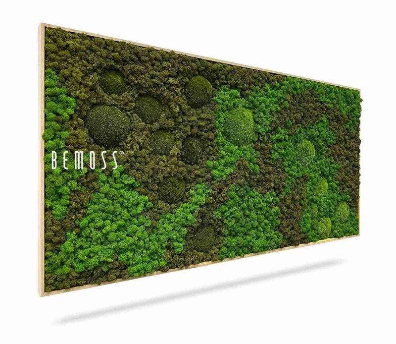 Tableau de mousse BEMOSS® ORTHO ASEL