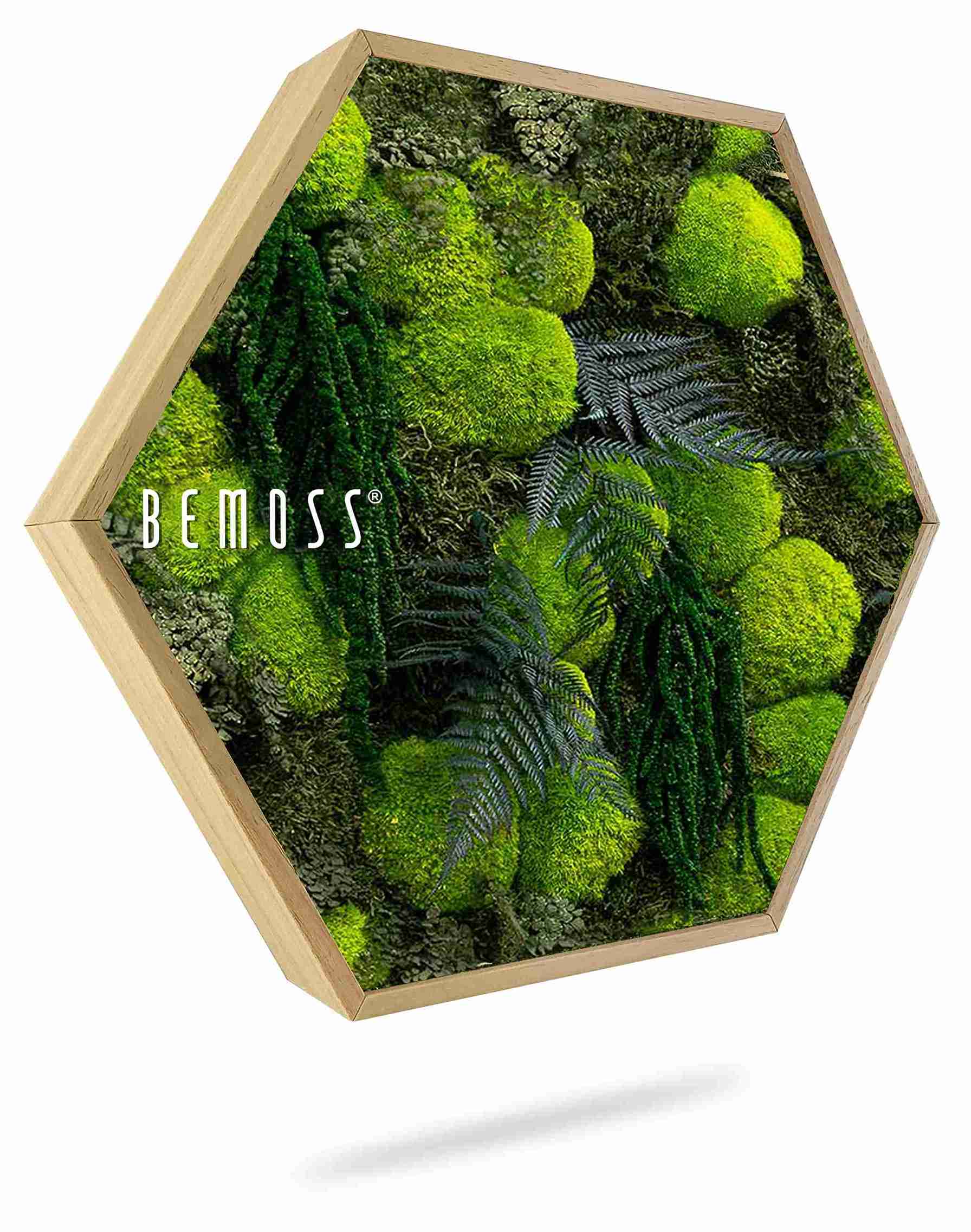 Hexagone de mousse PLANTES Varex – Image 1