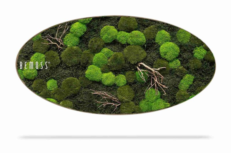 Tableau de mousse ovale FLATMOSS & BOLMOSS Doven WOOD
