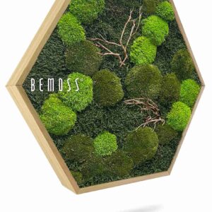 Hexagone en mousse FLATMOSS & BOLMOSS Doven WOOD - Thumbnail Image 1