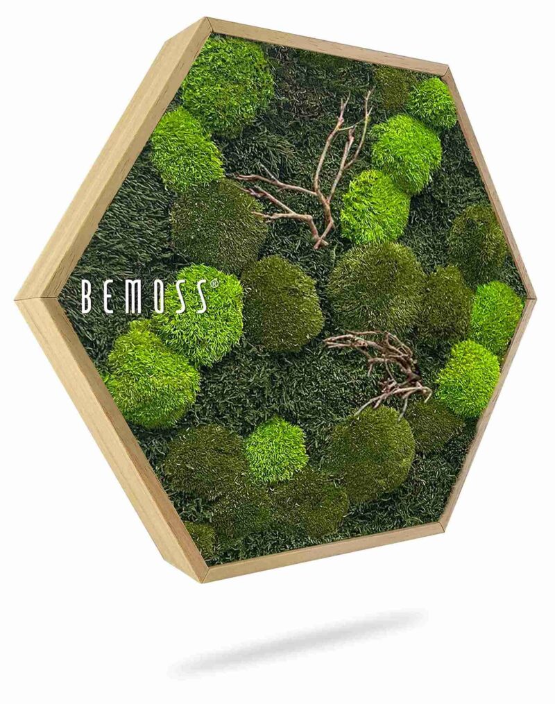 Hexagone en mousse FLATMOSS & BOLMOSS Doven WOOD