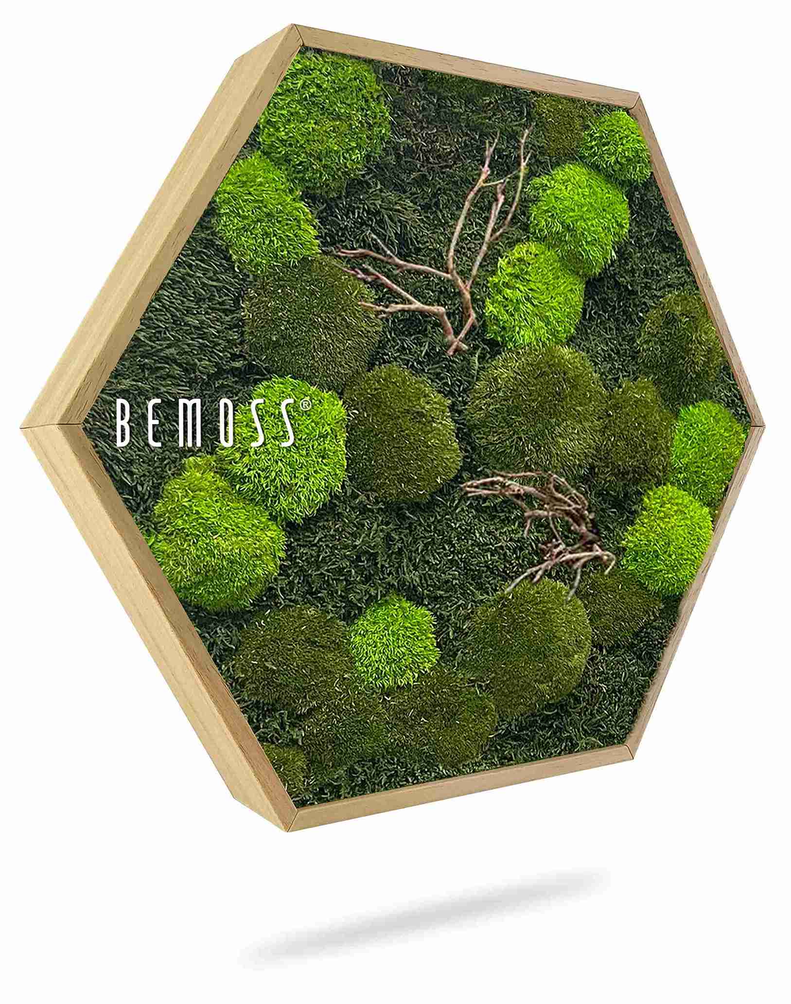 Hexagone en mousse FLATMOSS & BOLMOSS Doven WOOD – Image 1