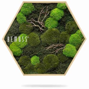 Hexagone en mousse FLATMOSS & BOLMOSS Doven WOOD - Thumbnail Image 2