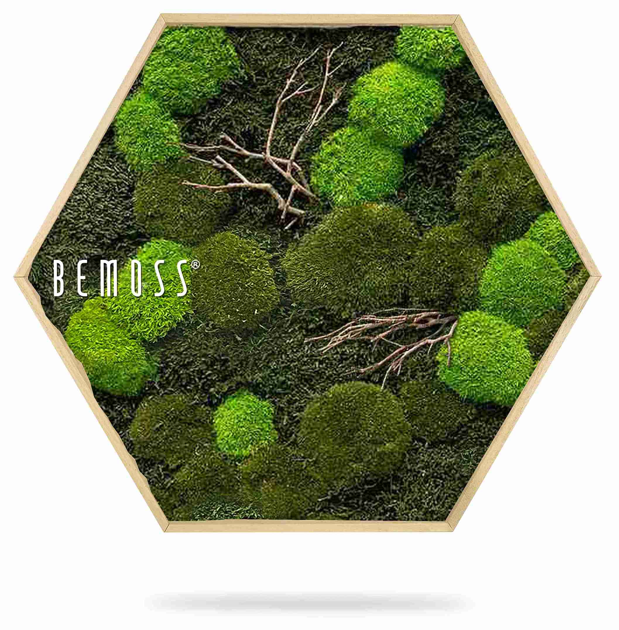 Hexagone en mousse FLATMOSS & BOLMOSS Doven WOOD – Image 2