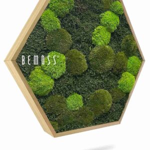 Hexagone en mousse FLATMOSS & BOLMOSS Doven mono - Thumbnail Image 1