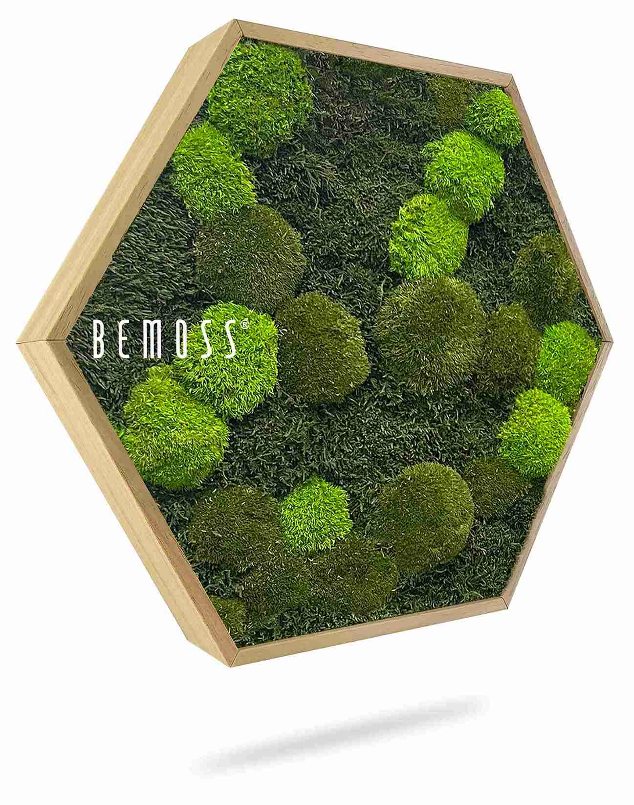 Hexagone en mousse FLATMOSS & BOLMOSS Doven mono – Image 1