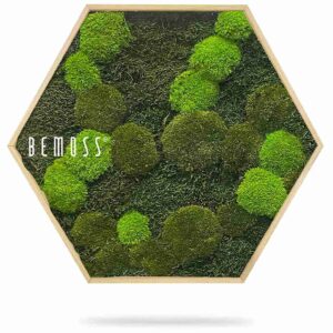 Hexagone en mousse FLATMOSS & BOLMOSS Doven mono - Thumbnail Image 2