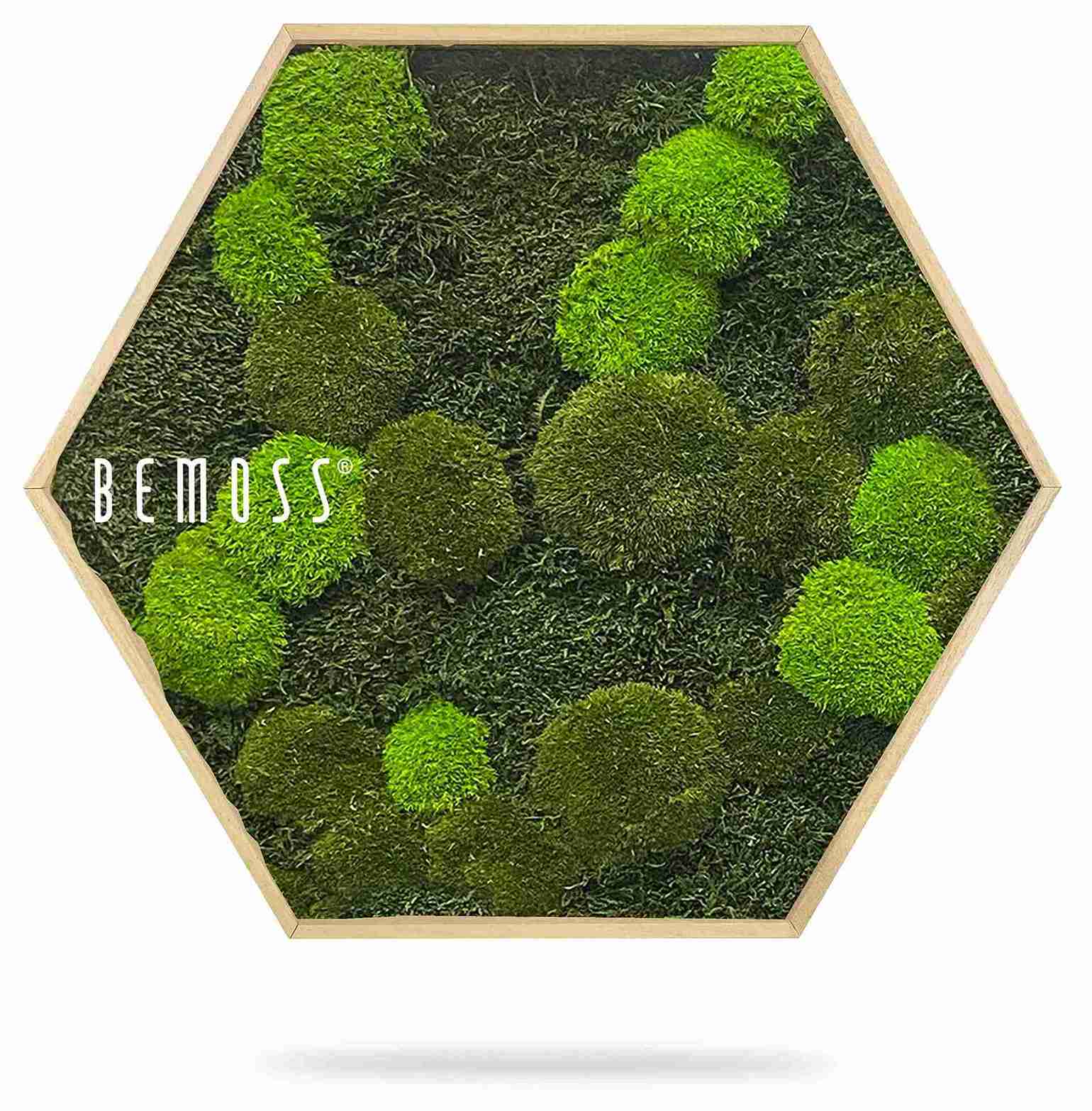 Hexagone en mousse FLATMOSS & BOLMOSS Doven mono – Image 2