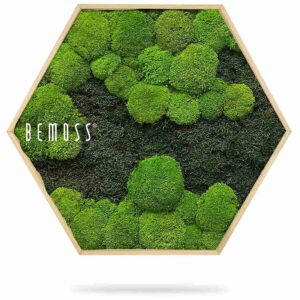 Hexagone de mousse FLATMOSS&BOLMOSS DUO Light Green - Thumbnail Image 2