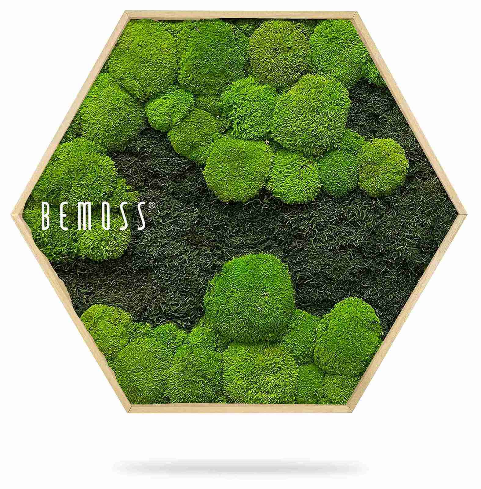 Hexagone de mousse FLATMOSS&BOLMOSS DUO Light Green – Image 2