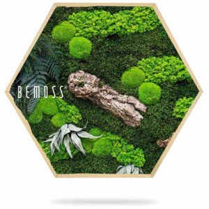 Hexagone de mousse PLANTES Alona - Thumbnail Image 2