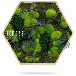 Hexagone de mousse PLANTES Varex - Thumbnail Image 2