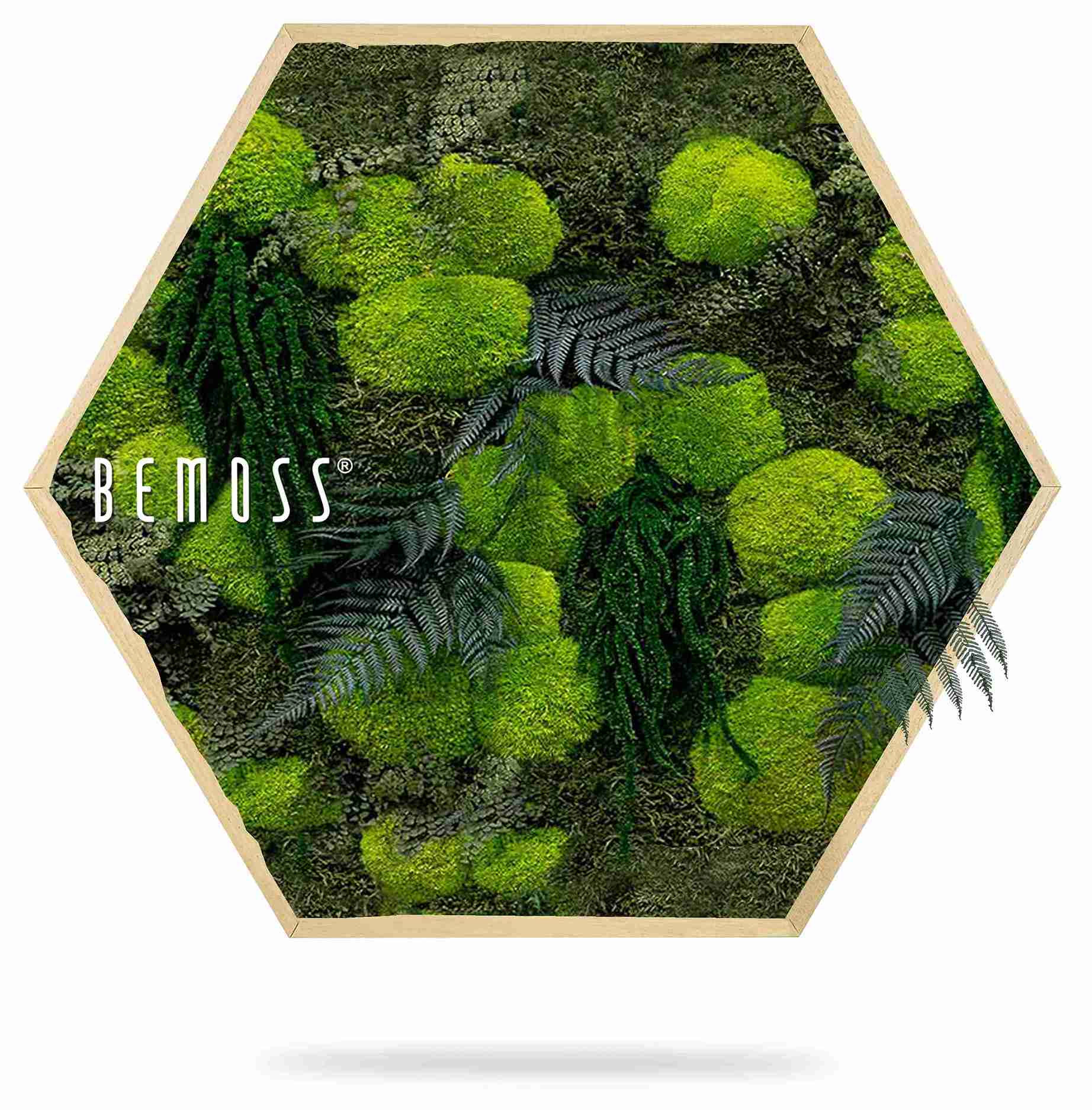 Hexagone de mousse PLANTES Varex – Image 2