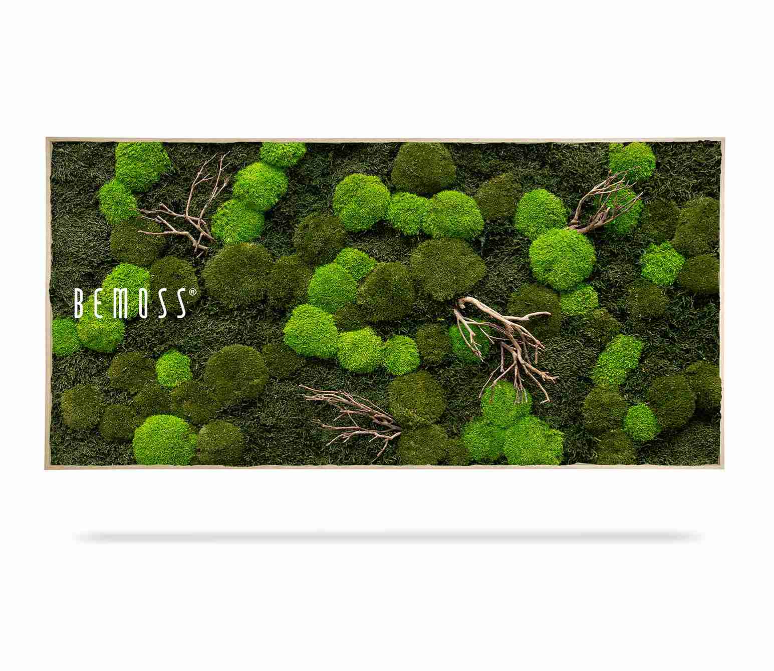 Tableau de mousse FLATMOSS & BOLMOSS Doven WOOD – Image 3