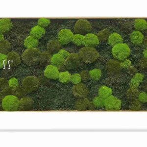 Tableau de mousse FLATMOSS & BOLMOSS Doven mono - Thumbnail Image 2