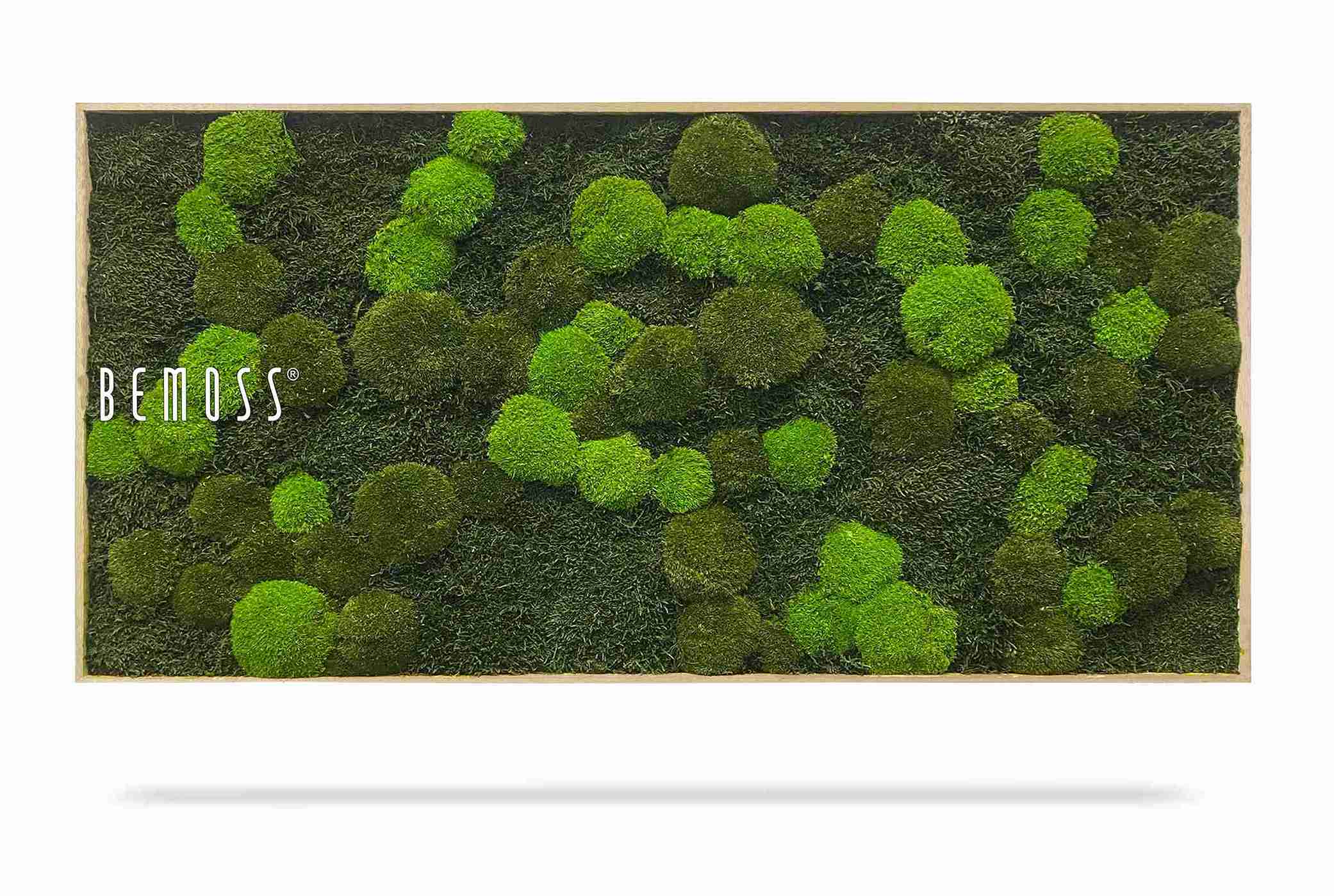 Tableau de mousse FLATMOSS & BOLMOSS Doven mono – Image 2