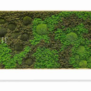 Tableau de mousse BEMOSS® ORTHO ASEL - Thumbnail Image 2