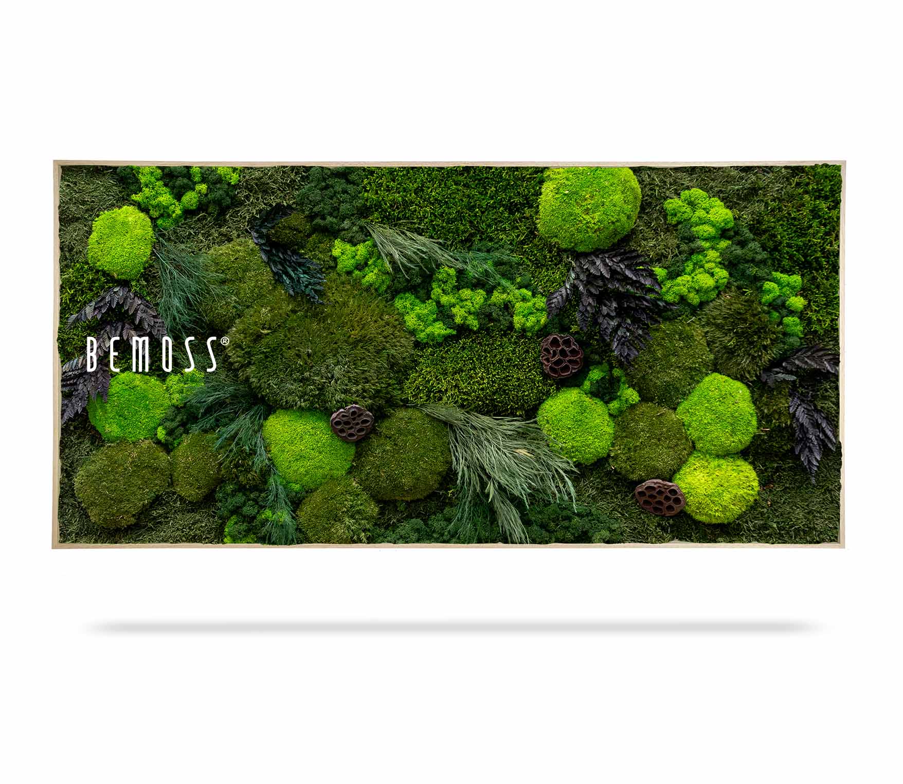 Tableau de mousse PLANTES Amar – Image 2