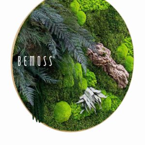 Tableau de mousse rond PLANTES Alona - Thumbnail Image 2