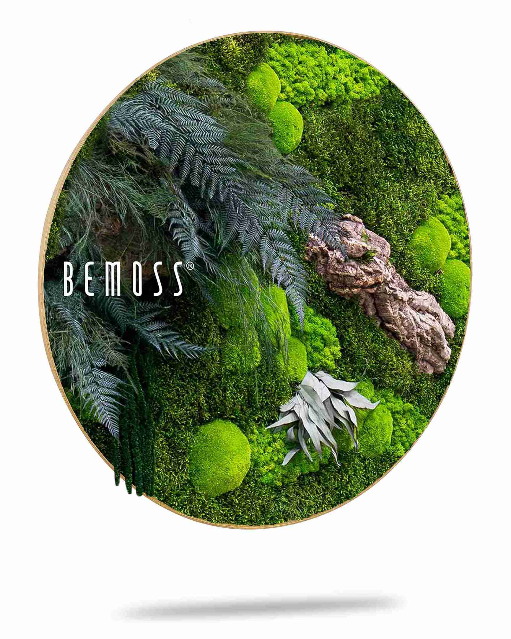 Tableau de mousse rond PLANTES Alona – Image 2