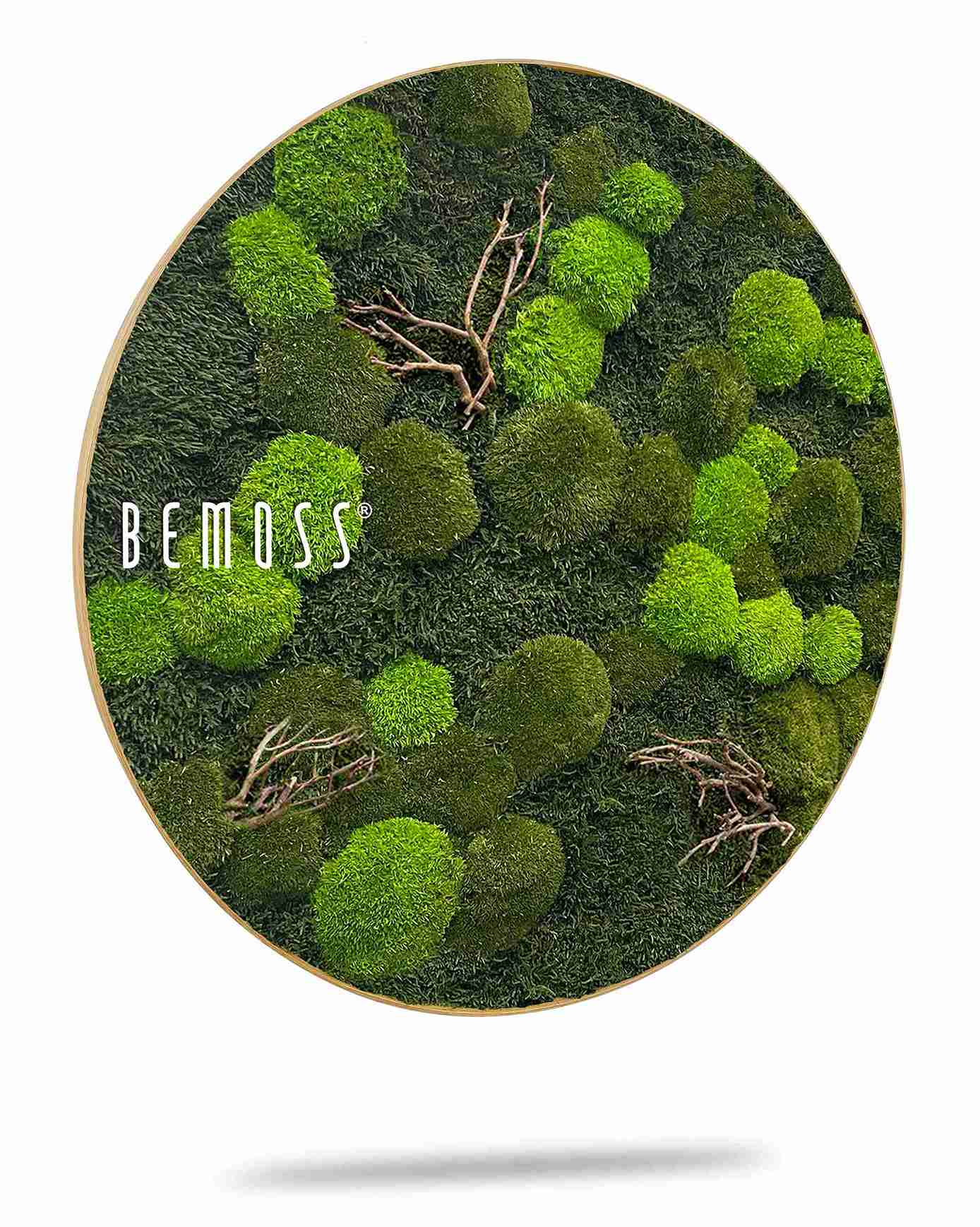 Tableau de mousse rond FLATMOSS & BOLMOSS Doven WOOD – Image 2