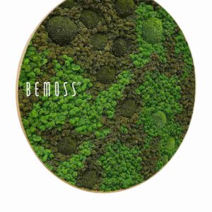 Tableau de mousse rond BEMOSS® ORTHO ASEL - Thumbnail Image 2