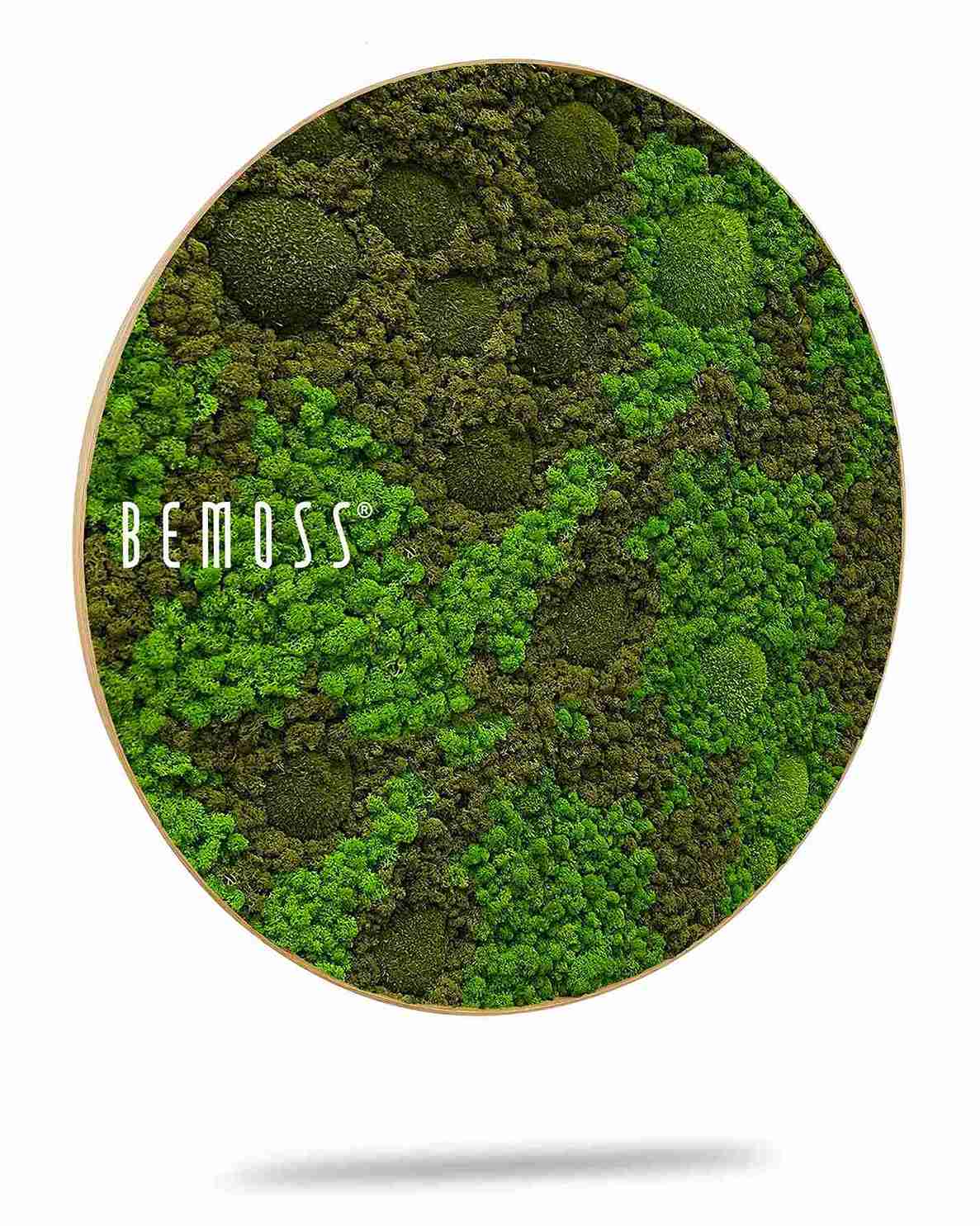 Tableau de mousse rond BEMOSS® ORTHO ASEL – Image 2