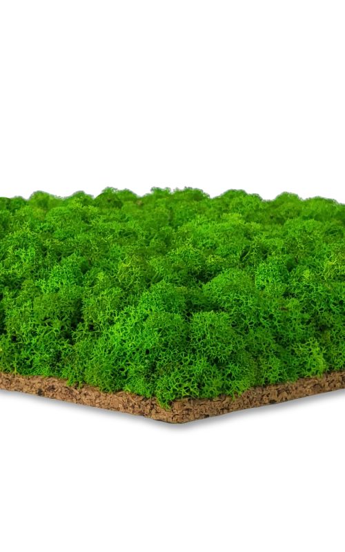 plocha pokrytá zeleným machom so slovom byť machom na jej strane a bielym pozadím so zelenou trávnatou plochou, ekologické umenie , machovy obraz, stabilizovany mach, machová stena, machová dekorácia
