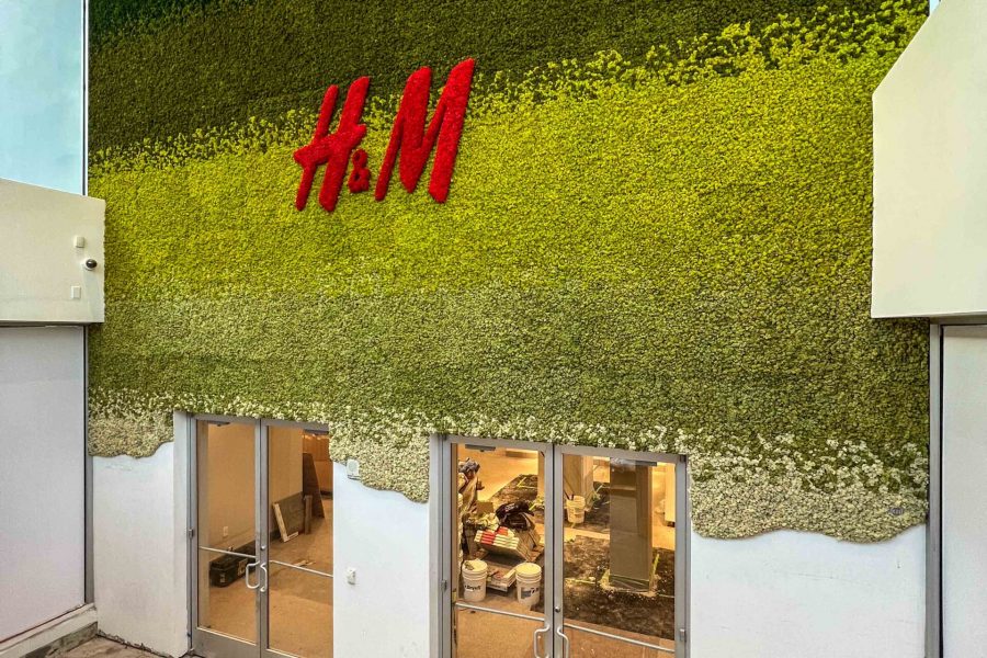 Machová stena , bemoss , mach , zelené steny , interiér , dom , farebné , rastliny , machový obraz , logo , H&M , firma